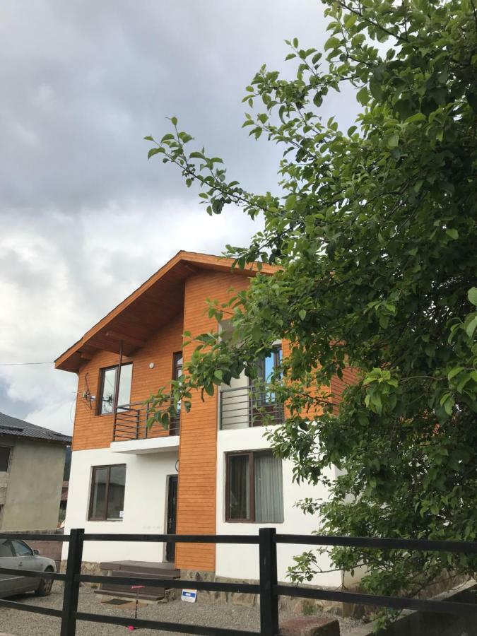 N1 Cottage In Bakuriani Exterior foto